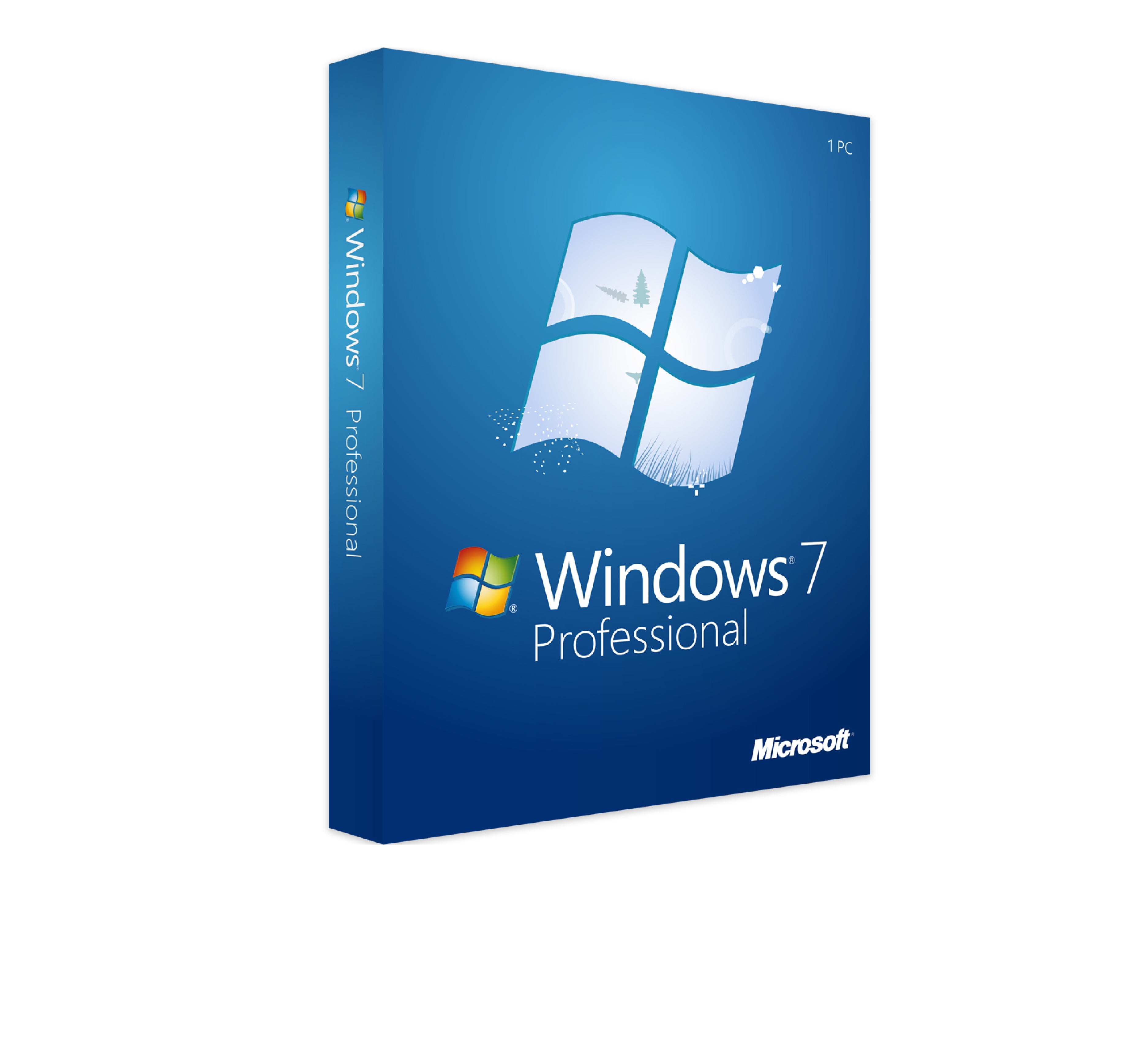 Windows 7 Professional